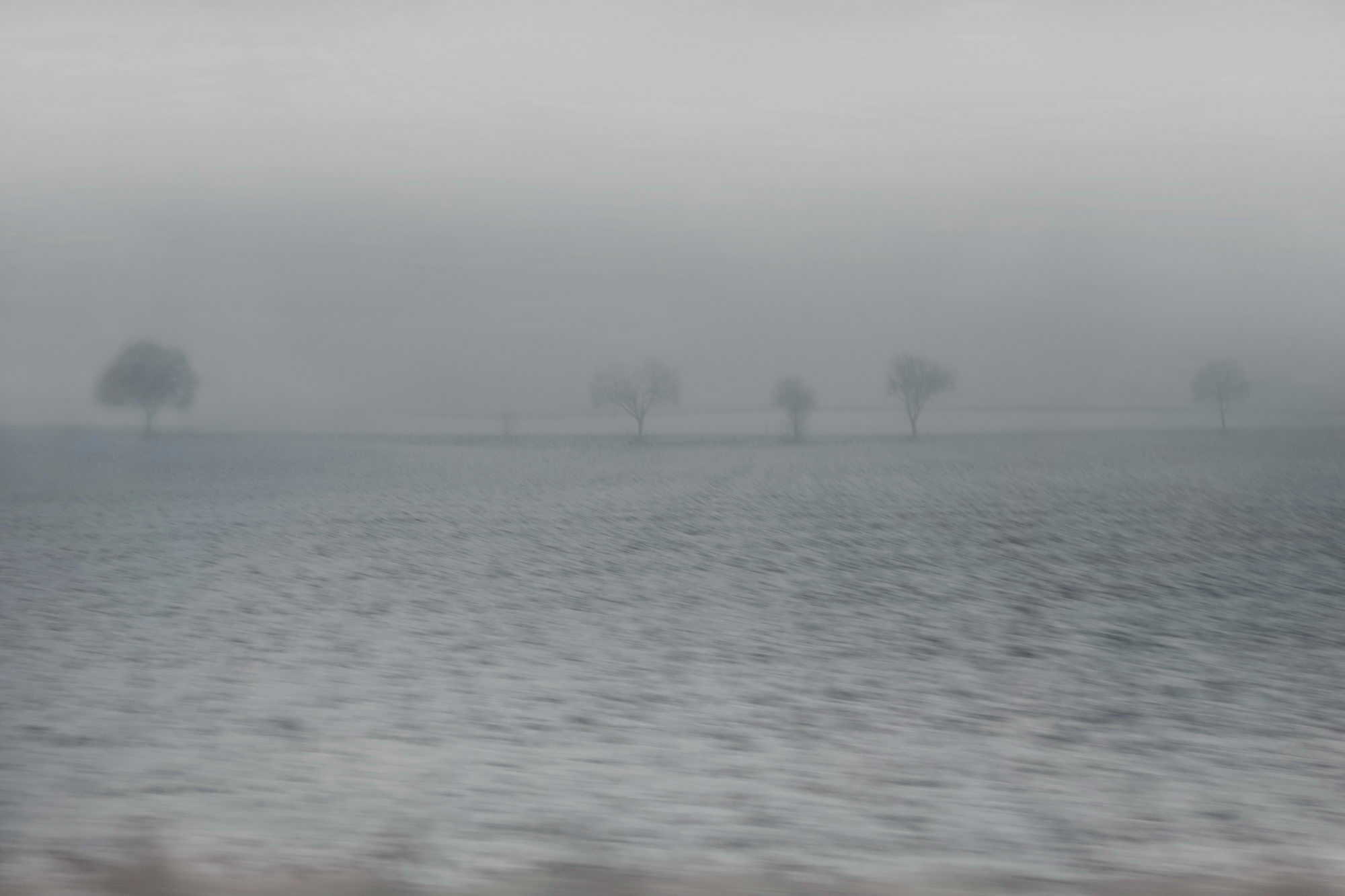 Nebel und Schneetreiben